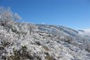 Snow does come occasionally
